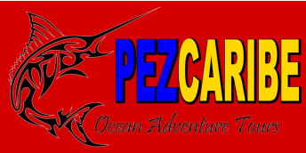 Fishing Playa Del Carmen|Deep Sea Fishing Playa Del Carmen Mexico by PezCaribe